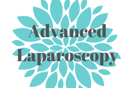 Advanced Laparoscopy – Hibiscus Women's Center