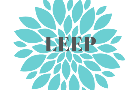 Loop Electrosurgical Excision Procedure (LEEP) - Hibiscus Women's Center